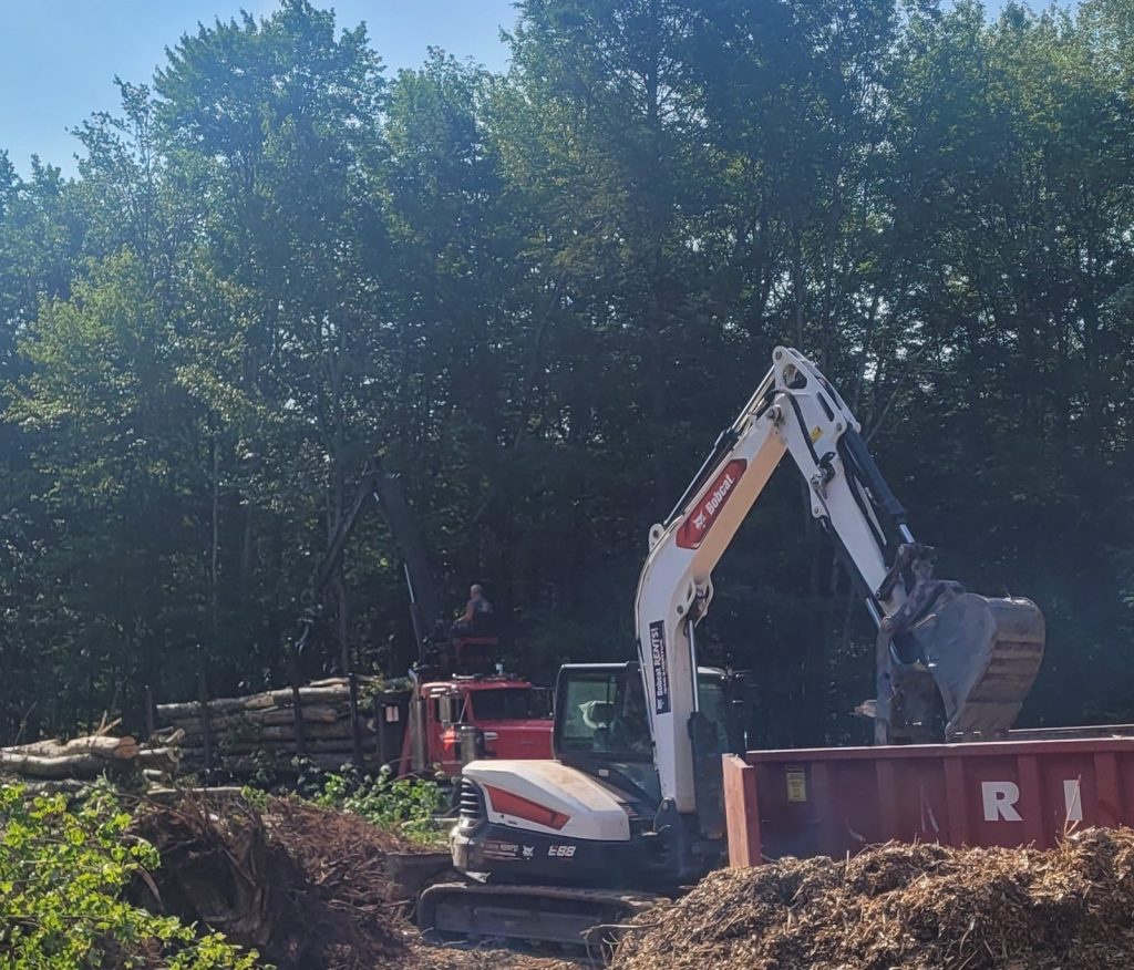 Excavator and log truck clearing felled trees at a wooded Timberwolf Tree Work job site