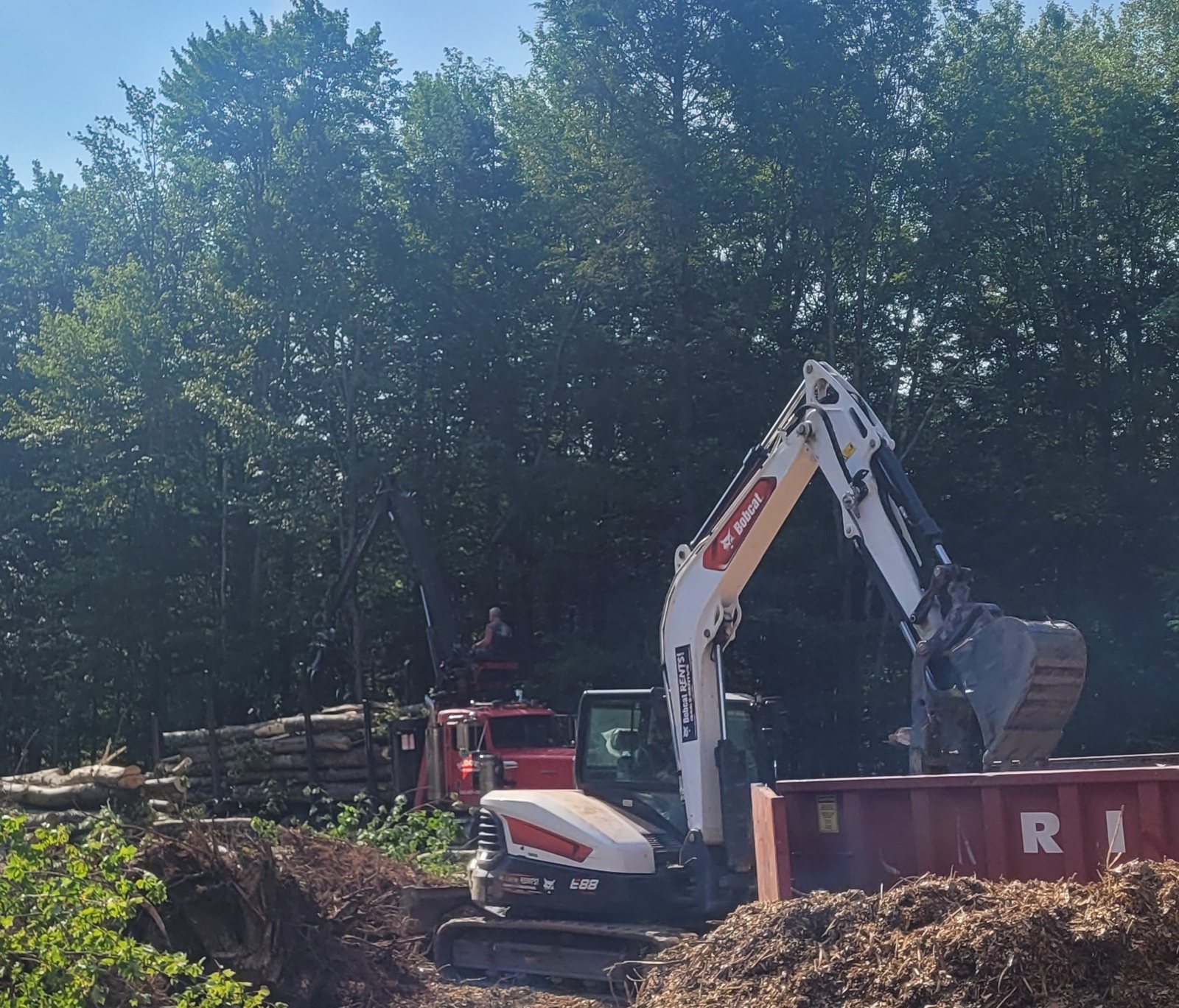 Excavator and log truck clearing felled trees at a wooded Timberwolf Tree Work job site