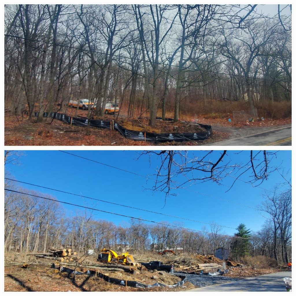 Lot clearing before and after