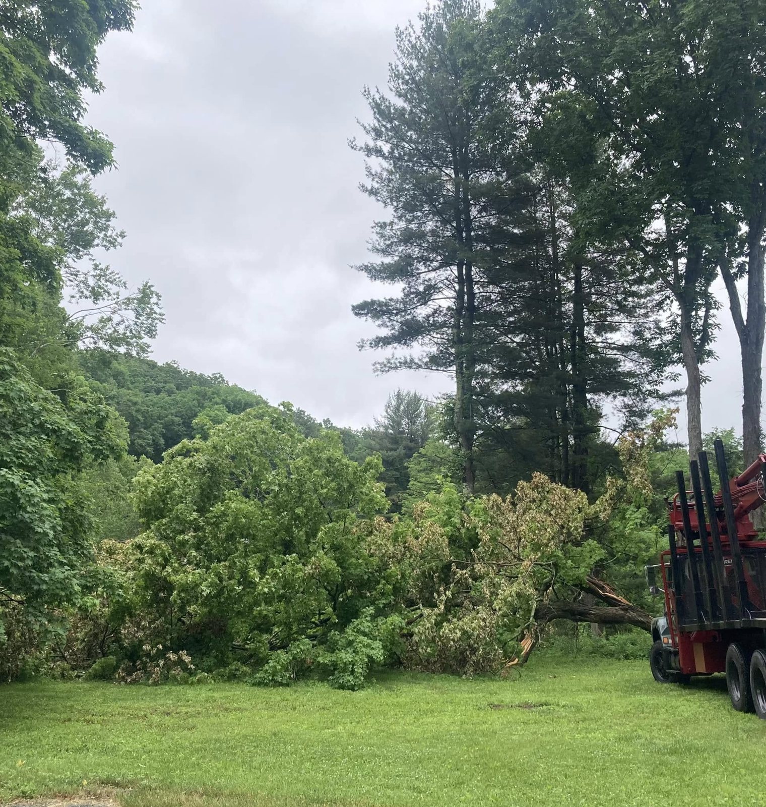 Downed tree and brush on a grassy lot beside a log loader truck