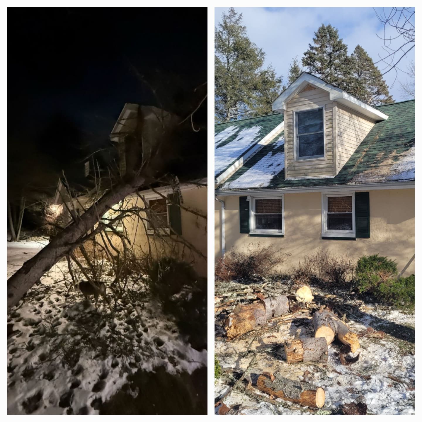 Fallen tree cleared from beside a home