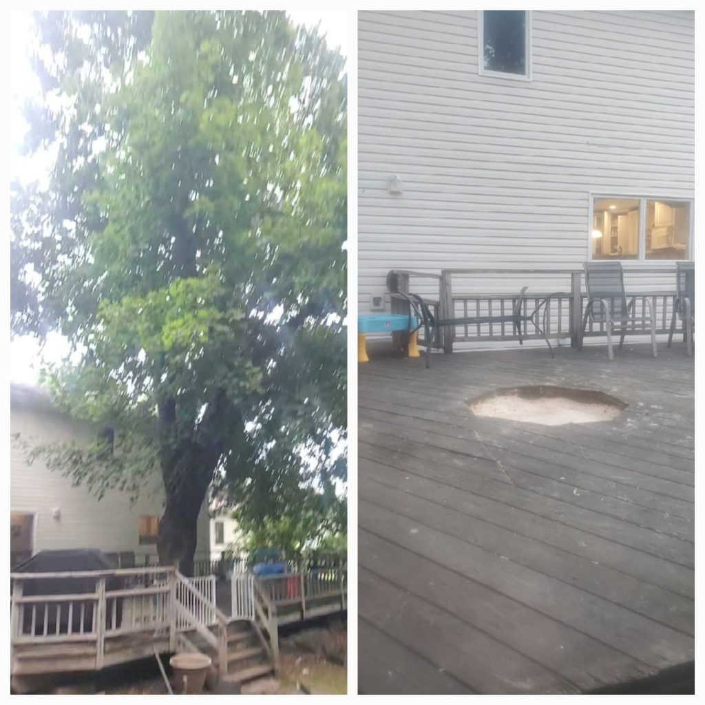 Tree work beside a residential deck