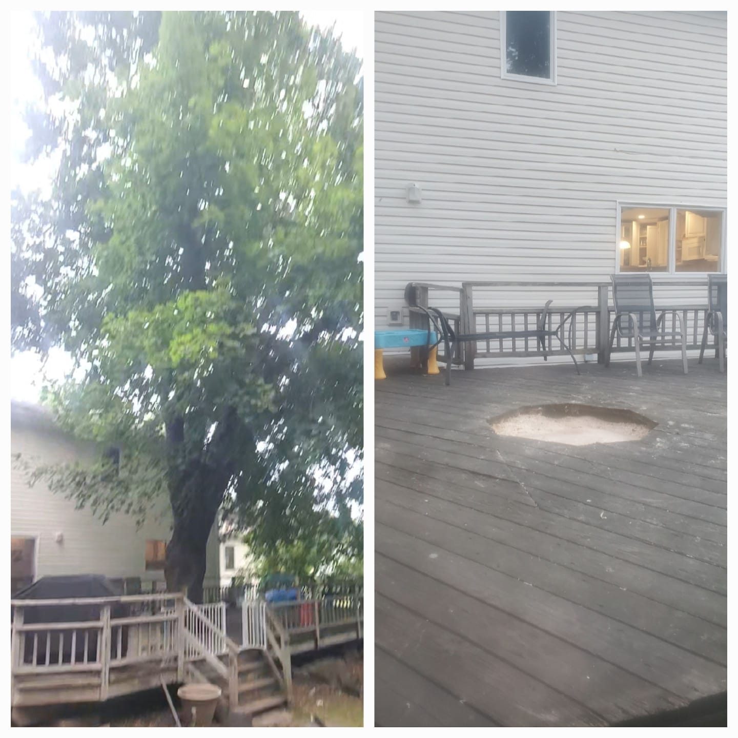 Tree work beside a residential deck